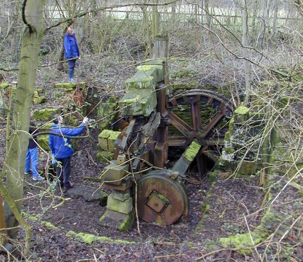 alt="archaeologists exploring ruins in a wood"