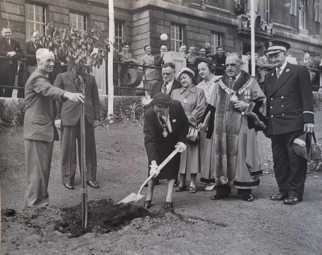 The Mayor planting a tree outside the town hall