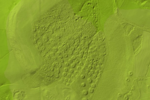 A lidgar image, a green speckled view of Hugset Woods