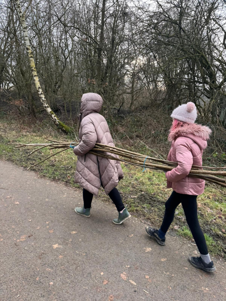 two student volunteers carrying coppicing branches together to used in the days activity