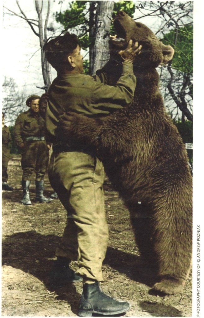 A soldier in uniform playfully interacts with a large bear standing on its hind legs. Several other soldiers in the background watch the scene. The setting appears to be outdoors with trees and a clear sky. The bear seems calm and engaged.