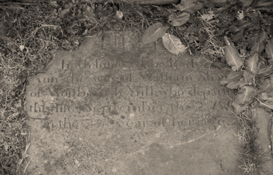 Sepia-toned image of an old, weathered gravestone partially covered by leaves. The engraved text is faint, commemorating individuals but is difficult to read. The surrounding area is overgrown with vegetation.