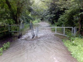 A flooded path with a metal gate partially submerged in water, surrounded by lush greenery and trees.