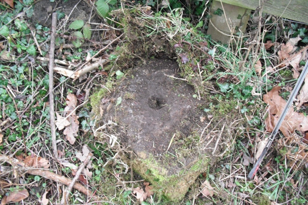 A close-up of a moss-covered stone stump with a hollowed center, surrounded by fallen leaves and overgrown vegetation, indicating it may be an old landmark or remnant of a historical structure.
