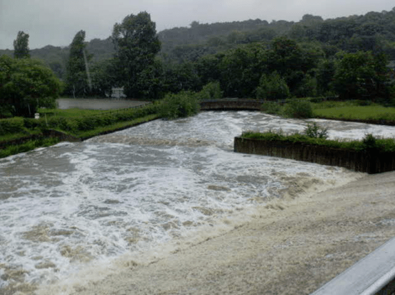 A flooded river with strong currents, surrounded by lush green trees and a small bridge in the background.