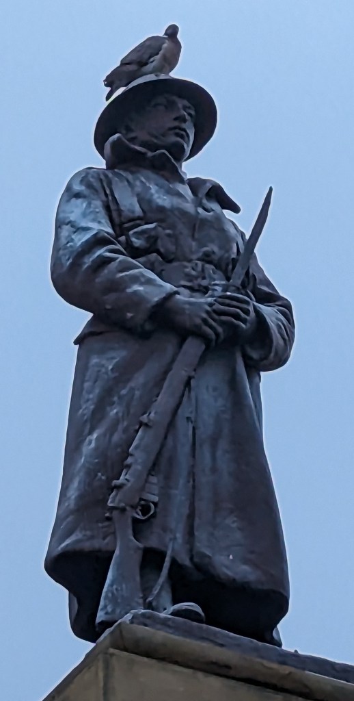 A bronze statue of a soldier standing tall, holding a rifle, with a pigeon perched on top of its hat, symbolizing remembrance and honoring fallen soldiers.