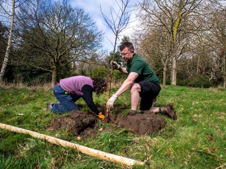 Two volunteers planting a young tree in a grassy area, surrounded by trees and blue sky.