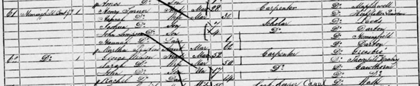 A scanned historical document with handwritten entries, showing names, ages, and other personal details, likely from a census or registration record.