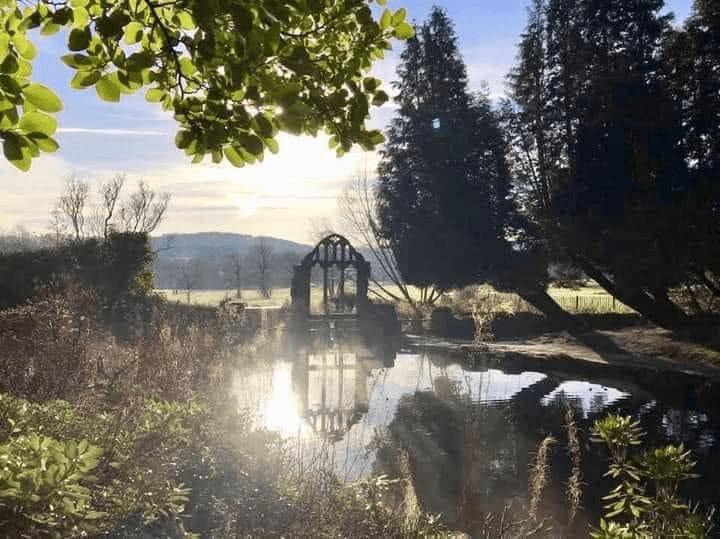 A tranquil landscape featuring a reflective pond, surrounded by trees and shrubs, with a silhouetted arched structure in the background under a bright sky.
